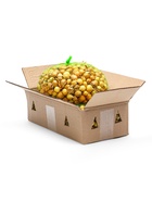 Лук севок Штутгартен ризен , р-р 18-21 2 кг, Весна 2025 - Фото 3