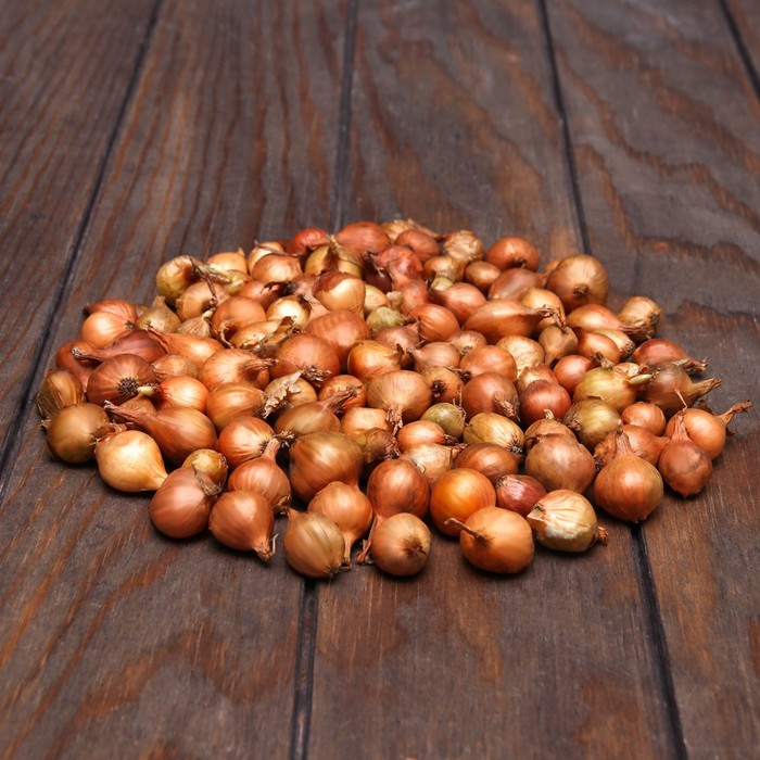 Лук севок Штутгартен ризен , р-р 18-21 5 кг, Весна 2025 - Фото 1