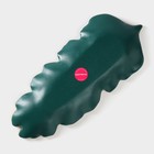 Блюдо для фруктов Доляна «Золотой лист», 37×14 см, зелёное - Фото 5