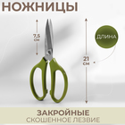 Ножницы закройные, скошенное лезвие, 8", 21 см, цвет МИКС - Фото 1