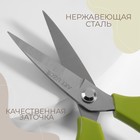 Ножницы закройные, скошенное лезвие, 8", 21 см, цвет МИКС - фото 7781240