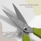 Ножницы закройные, скошенное лезвие, 8", 21 см, МИКС - Фото 2