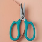 Ножницы закройные, скошенное лезвие, 7,5", 19 см, цвет МИКС - Фото 1