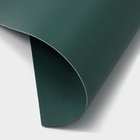 Салфетка сервировочная на стол «Тэм», 30×44 см, зелёная - Фото 6