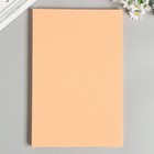 Фетр  жесткий  1 мм 20х30 см цв.652 персик (комплект 10 шт) - фото 28472497