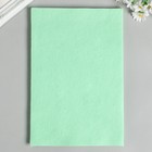 Фетр  мягкий  1 мм 20х30 см цв.681 бл.зеленый (комплект 10 шт) - фото 28472500