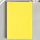 Фетр  жесткий  2мм 20х30 см цв.643 желтый (комплект 10 шт) - фото 21508174