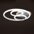 Люстра с ПДУ 1914/3 LED 84Вт диммер белый 42х40х12 см BayerLux 6908572 - фото 14021873