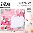 Магнит с блоком для записей «Светись от счастья. 8 Марта», 10×9 см - Фото 1