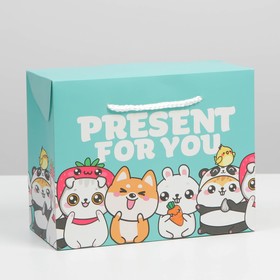 Пакет—коробка «Present», 23 × 18 × 11 см