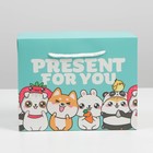 Пакет—коробка, подарочная упаковка, «Present», 23 х 18 х 11 см - фото 7315634
