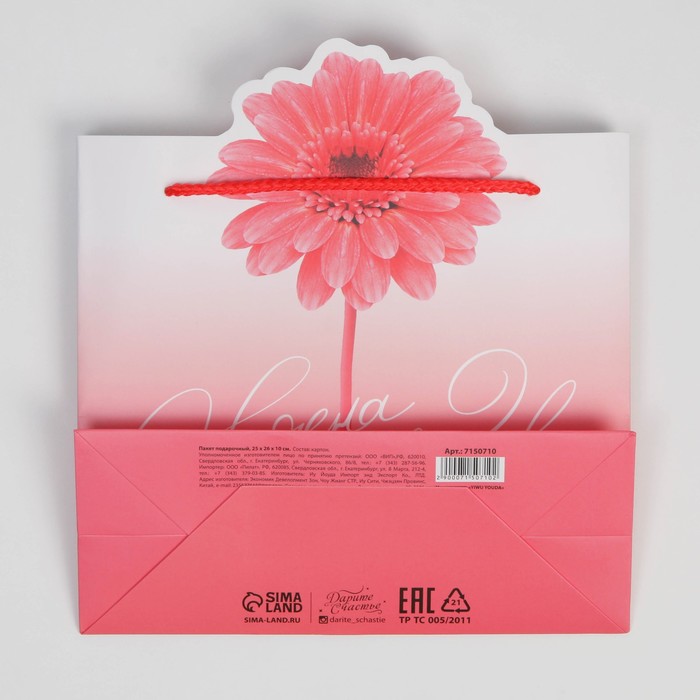 Пакет подарочный, упаковка, «Flower», 25 х 26 х 10 см - фото 1885321572