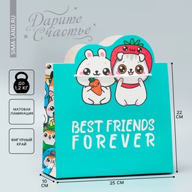 Пакет подарочный «Forever», 25 × 26 × 10 см