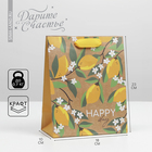 Пакет подарочный крафтовый вертикальный, упаковка, «Happy day», MS 18 х 23 х 8 см - фото 2833093