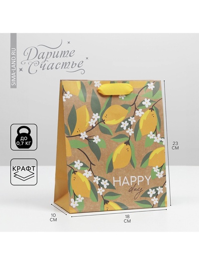 Пакет подарочный крафтовый, упаковка, «Happy day», MS 18 х 23 х 8 см