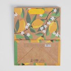 Пакет подарочный крафтовый вертикальный, упаковка, «Happy day», MS 18 х 23 х 8 см - Фото 4