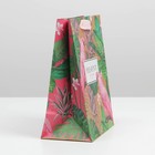 Пакет подарочный крафтовый вертикальный, упаковка, «Present for you», MS 18×23×8 см 7303779