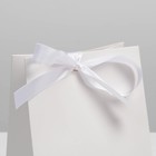 Пакет подарочный с лентой, упаковка, «Белый», 13 х 19 х 9 см 7303864