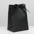 Пакет подарочный с лентой, упаковка, «Чёрный», 13 х 19 х 9 см - фото 320360865