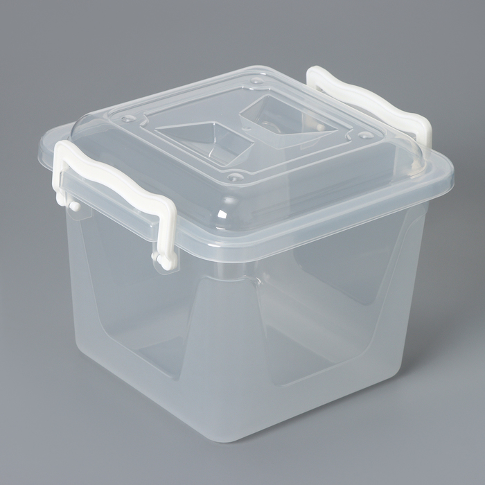 Контейнер для хранения Альтернатива, 4 л, 19.5×19.5×17.5 см, с крышкой, пластик, прозрачный - Фото 1