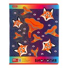 Комплект предметных тетрадей 10 предметов, 48 листов, Dream Art, мелованый картон, закруглённые углы - Фото 8