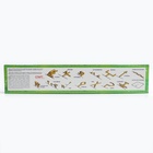 Спортивная игра «Городки», дерево, 12 элементов, 15 фигур, в коробке - Фото 9