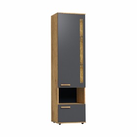 Шкаф Crown 1, 560 × 400 × 2113 мм, цвет дуб золотистый / графит