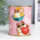 Носки в банке "Коты" (внутри носки женские, цвет белый) - фото 21510667