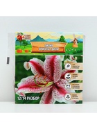 Лилия «Ориентал Диззи», луковица в пакете с перфорацией, р-р 14/16, 2 шт. - Фото 6