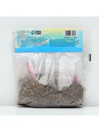 Лилия «Ориентал Диззи», луковица в пакете с перфорацией, р-р 14/16, 2 шт. - Фото 5