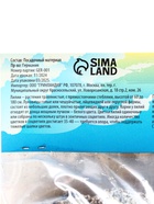 Лилия гибридная «ЛоллиПоп», луковица в пакете с перфорацией, р-р 14/16, 2 шт. - Фото 10