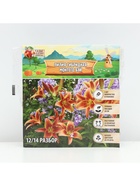 Лилия гибридная «Монтего Бэй», луковица в пакете с перфорацией, р-р 14/16, 2 шт. - Фото 5