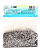 Лилия гибридная «Монтего Бэй», луковица в пакете с перфорацией, р-р 14/16, 2 шт. - Фото 9