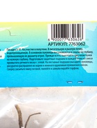 Лилия гибридная «Конка Дор», луковица в пакете с перфорацией, р-р 14/16, 2 шт. - Фото 11