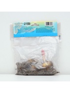 Лилия гибридная «Конка Дор», луковица в пакете с перфорацией, р-р 14/16, 2 шт. - Фото 6