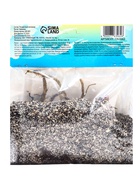 Лилия гибридная «Конка Дор», луковица в пакете с перфорацией, р-р 14/16, 2 шт. - Фото 9