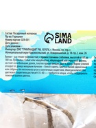 Лилия гибридная «Конка Дор», луковица в пакете с перфорацией, р-р 14/16, 2 шт. - Фото 10