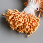 Тычинки для цветов "Капельки матовые апельсин" d=1,5 мм набор 400 шт длина 6 см - Фото 3