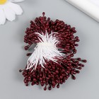 Тычинки для цветов "Капельки глянец бордо" набор 300 шт длина 6 см - Фото 1