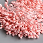 Тычинки для цветов "Капельки глянец сахарно-розовый" набор 300 шт длина 6 см - Фото 3
