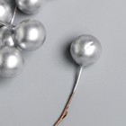 Тычинки для цветов "Шарик серебро" d=1,2 см 6х1,2х1,2 см (комплект 30 шт) - фото 25319383