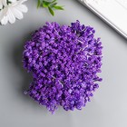 Тычинки для цветов "Капельки пузырьковые фиолет" 4х7 мм набор 700 шт длина 6,5 см - фото 1326728