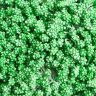 Тычинки для цветов "Капельки пузырьковые зелень" 4х7 мм набор 700 шт длина 6,5 см - фото 6556037