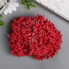 Тычинки для цветов "Капельки пузырьковые красные" 4х7 мм набор 700 шт длина 6,5 см - фото 1326743