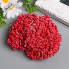 Тычинки для цветов "Капельки пузырьковые красные" 4х7 мм набор 700 шт длина 6,5 см - фото 6556048