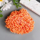 Тычинки для цветов "Капельки пузырьковые оранж" 4х7 мм набор 700 шт длина 6,5 см - фото 9614066