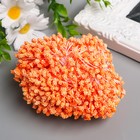Тычинки для цветов "Капельки пузырьковые оранж" 4х7 мм набор 700 шт длина 6,5 см - фото 6556051