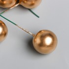 Тычинки для цветов "Шарик золотой" d=2 см (комплект 12 шт) - фото 25319410