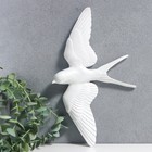 Сувенир полистоун настенный декор "Птица парит" белый 18х30 см - фото 318801052