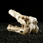 Декор для аквариума "Череп крокодила", 13 х 5,5 х 6 см - Фото 4